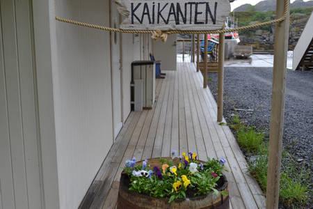 Kaikanten Rorbuer Sennesvik Экстерьер фото